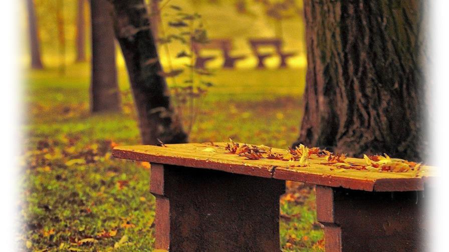 Cambio de estación, emociones nuevas