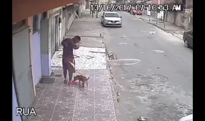 El video de un perro orinando que se hizo viral 