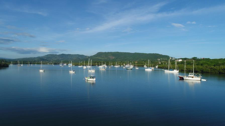 Medio Ambiente comienza la recuperación forestal de la Bahía de Luperón