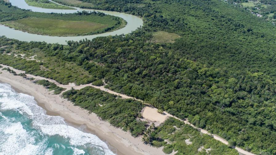 Medio Ambiente autorizó proyecto inmobiliario entre manglar y dunas en Cabarete Medio Ambiente autorizó proyecto inmobiliario entre manglar y dunas en Cabarete