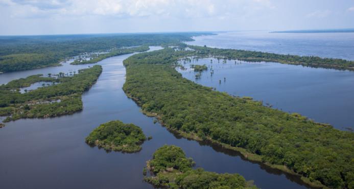 Brasil redujo en un 16 % la deforestación de la Amazonía en el último año 