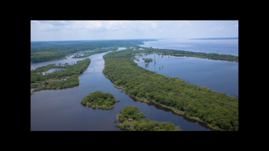 Brasil redujo en un 16 % la deforestación de la Amazonía en el último año 