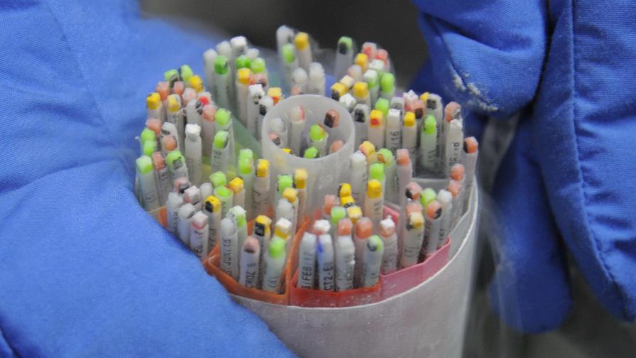 Cuarenta años de fecundación in vitro Cuarenta años de fecundación in vitro