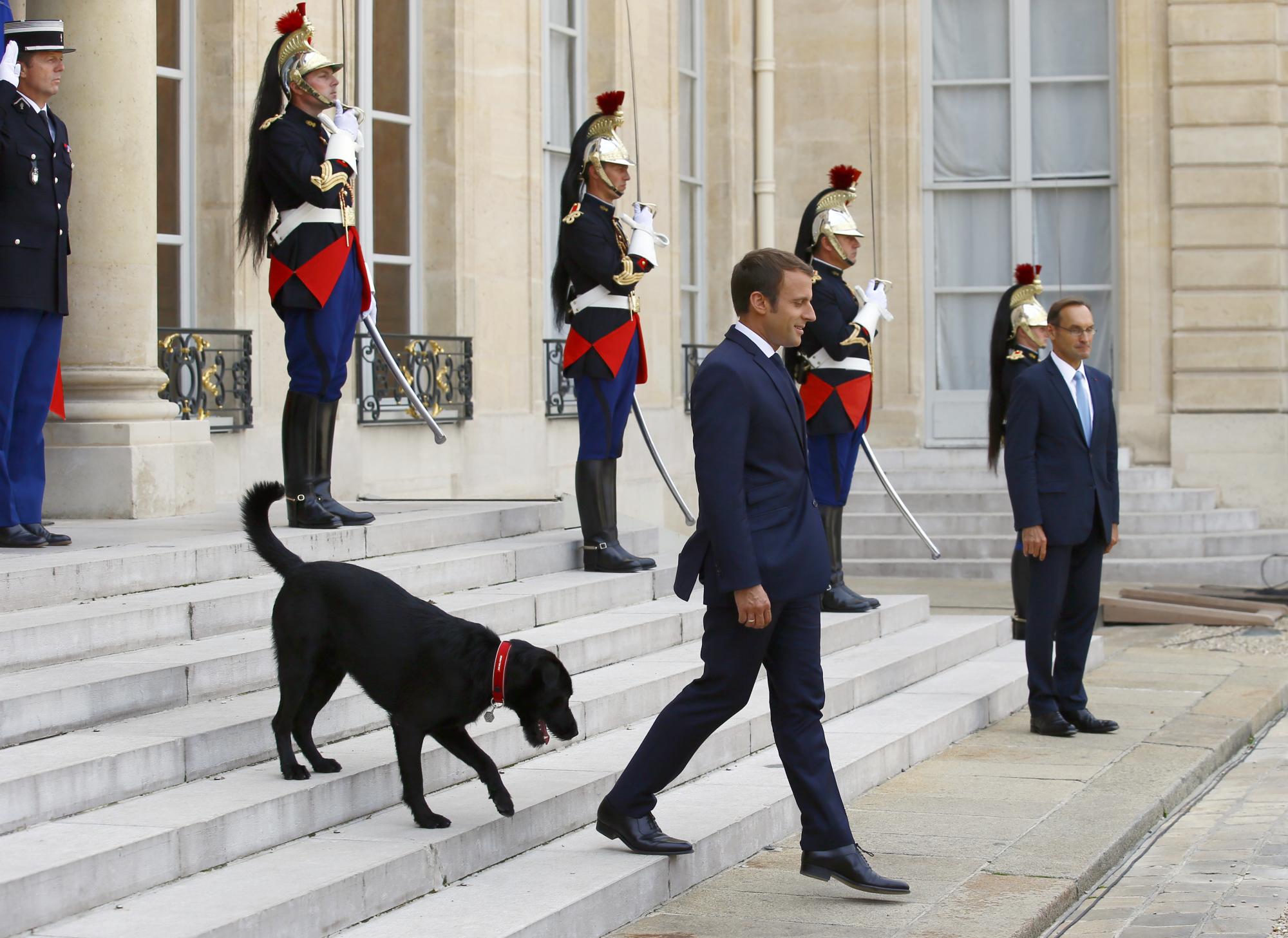 El perro de Macron