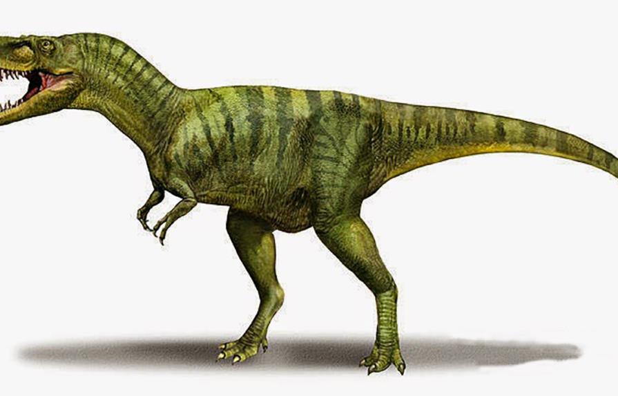 Descubren nuevos restos de dinosaurios en Uzbekistán e India 