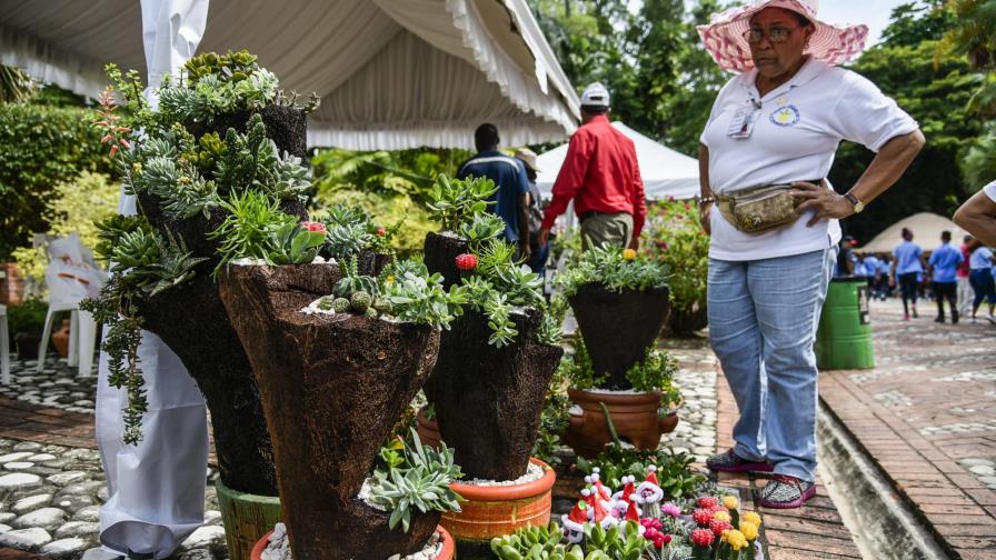 La fiesta de las plantas y flores