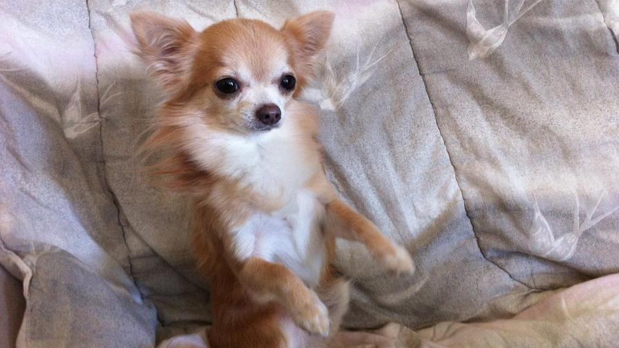 Evacua en cualquier parte