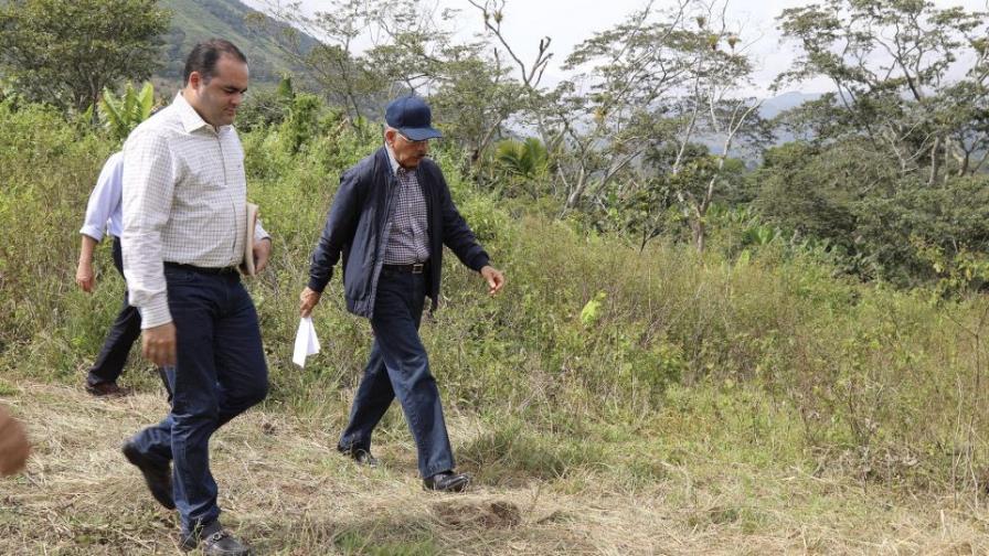 Medina supervisa personalmente proyectos de desarrollo agroforestal en el sur 