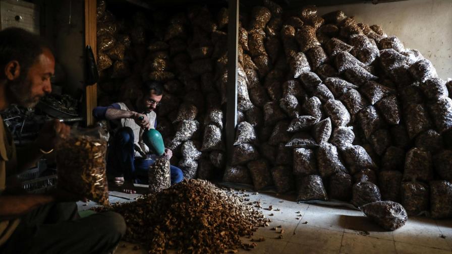 Un convoy humanitario entra en bastión opositor de las afueras de Damasco