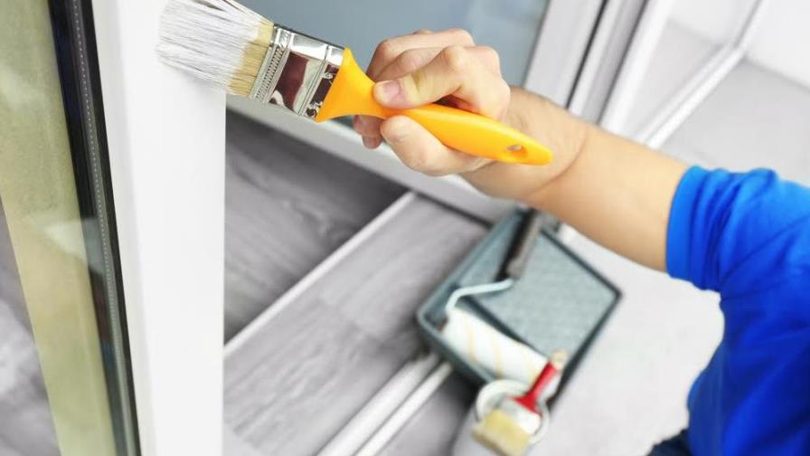 Empresa costarricense lanza pintura para combatir el mosquito Aedes aegypti 