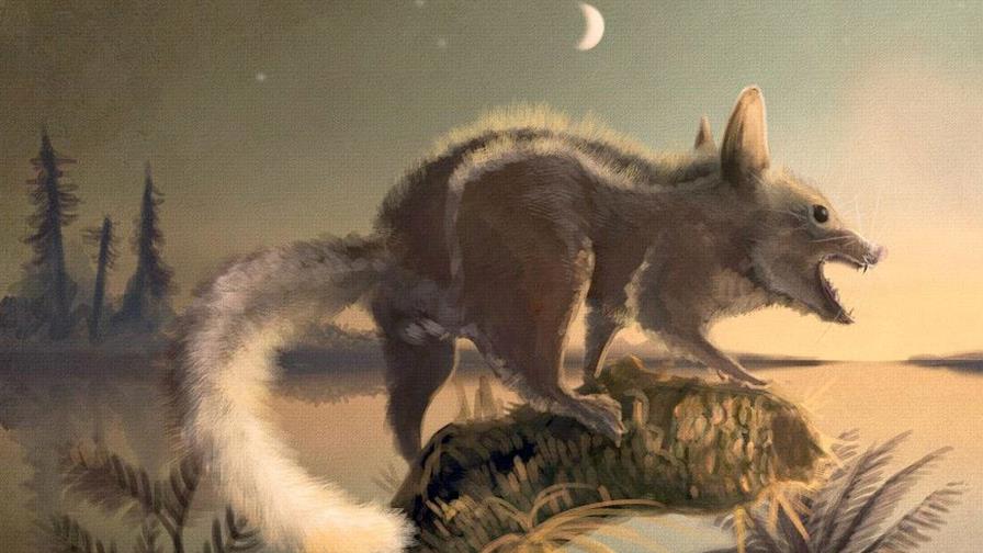 Fósiles del ancestro más antiguo del hombre descubiertos en Gran Bretaña