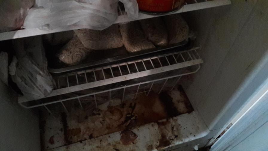 Pro Consumidor cierra otro restaurante por mal manejo de alimentos 