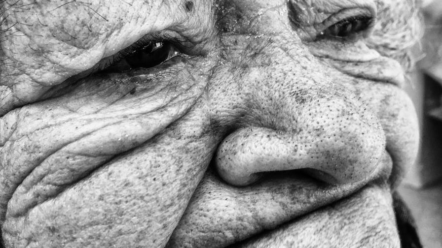 Foto de Alberti entre las mejores de 2017