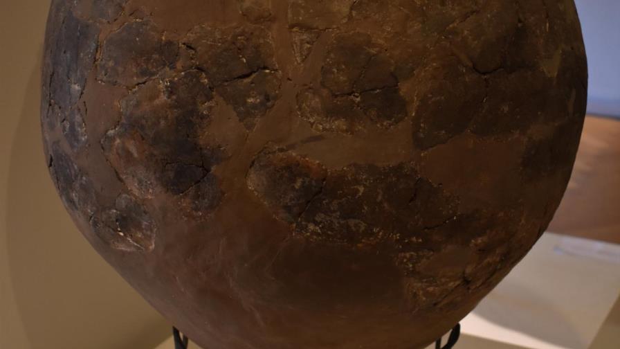 Arqueólogos descubren evidencias de la producción de vino hace 8,000 años