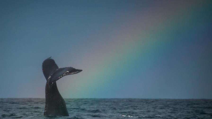 25 fotos de arcoíris en República Dominicana