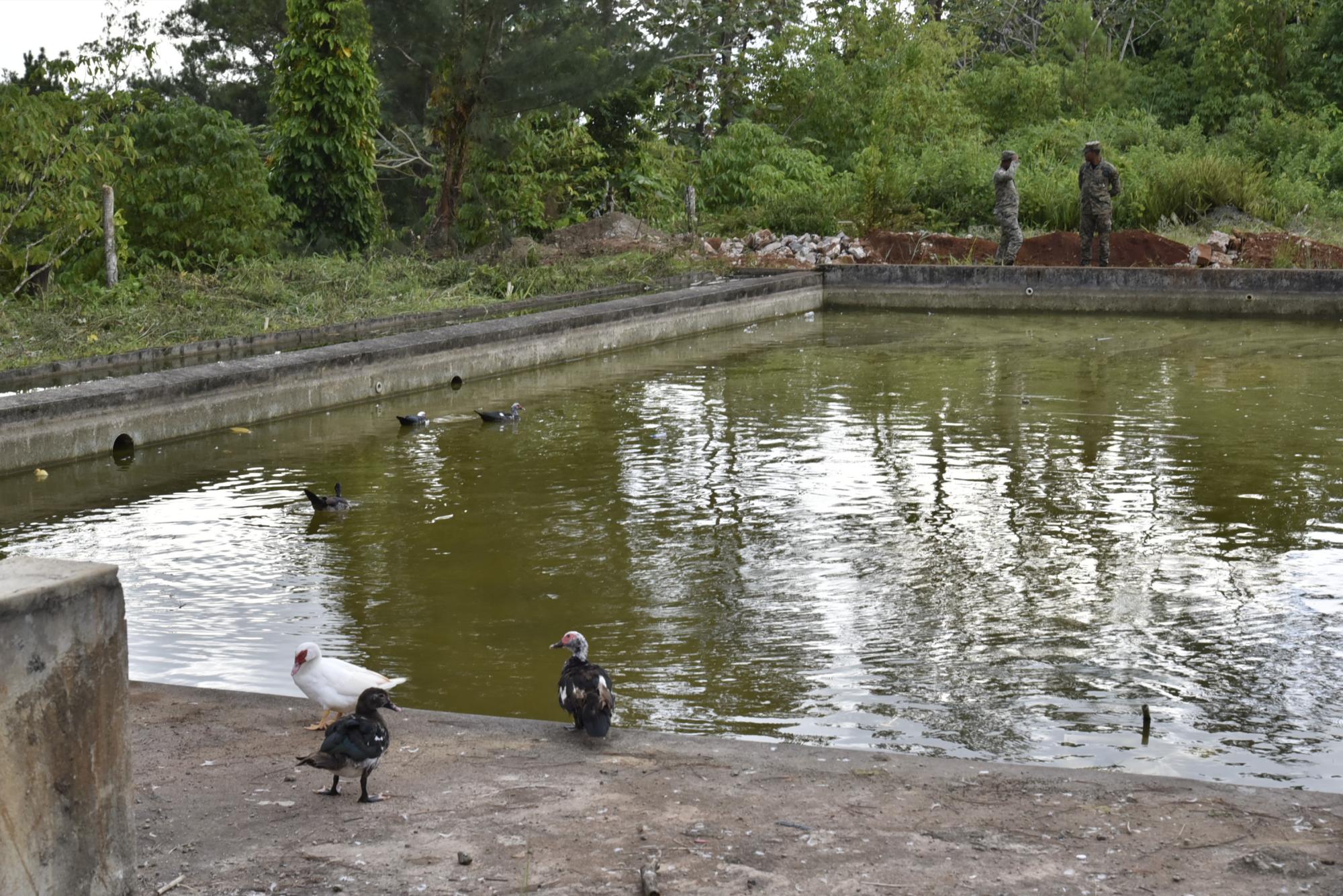 Vista de la piscina del hotel Montaña.