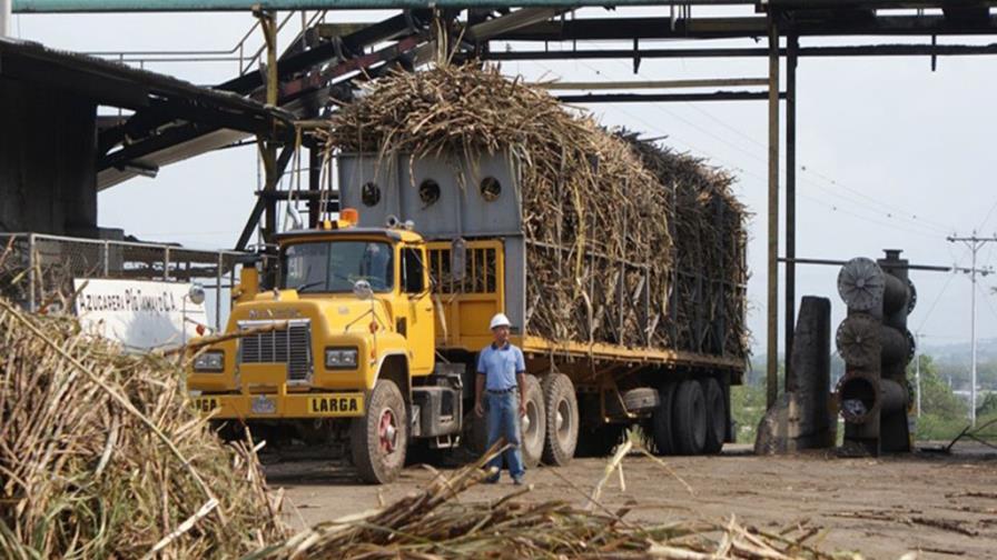 El CAEI se prepara para la zafra, que sería la mejor de su historia