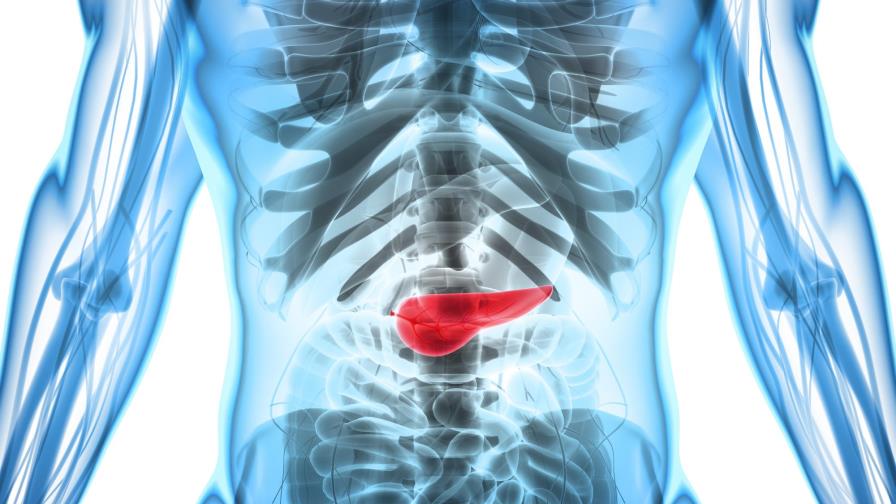 Argentina prueba con éxito el primer páncreas artificial de América Latina Argentina prueba con éxito el primer páncreas artificial de América Latina