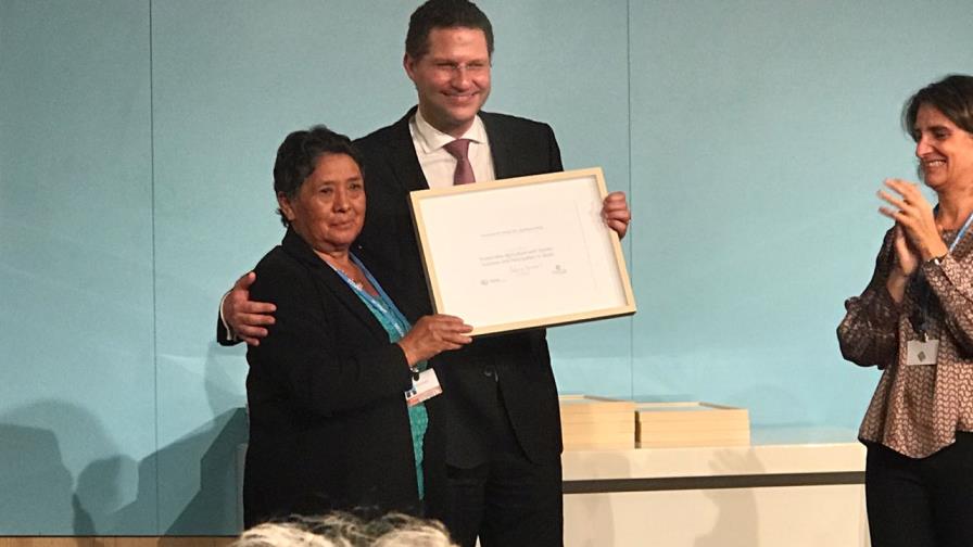Proyecto quiteño premiado por la ONU como solución al cambio climático 