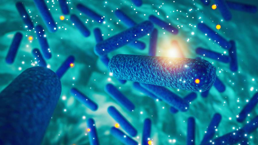 Las cuatro bacterias “superresistentes” a los antibióticos que más afectan a los latinoamericanos Las cuatro bacterias “superresistentes” a los antibióticos que más afectan a los latinoamericanos