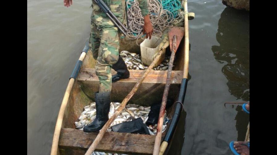 Apresan a cuatro hombres por pesca ilegal en Los Haitises