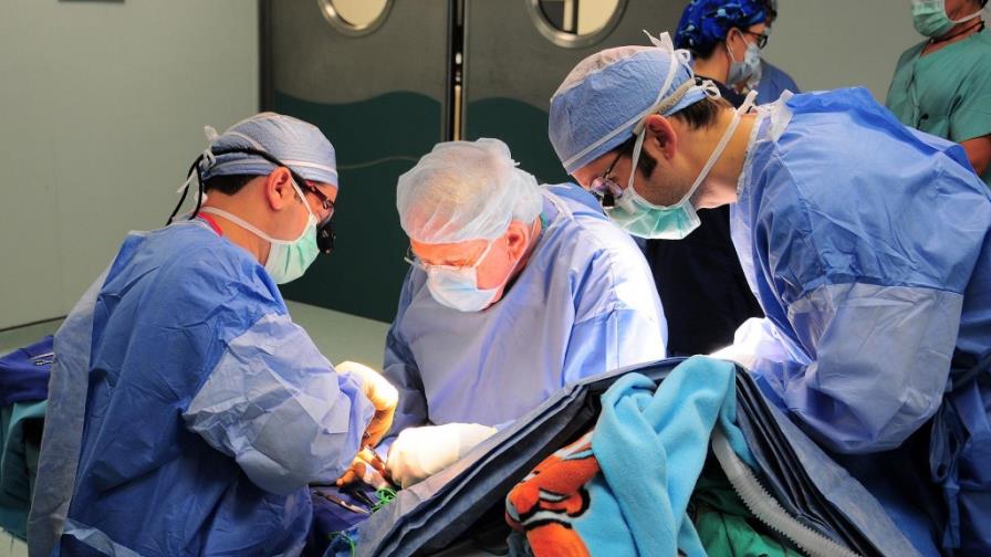 Perú se prepara para trasplantar médulas óseas sin parentesco de los donantes