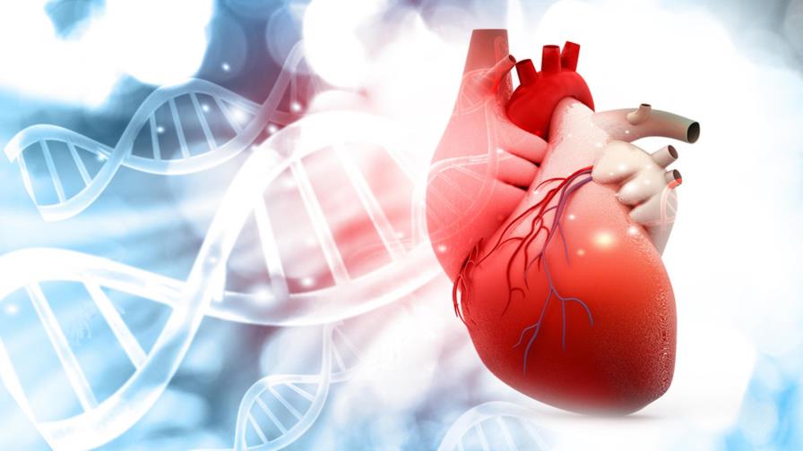 Método robótico logra revertir insuficiencia cardiaca con señales eléctricas 