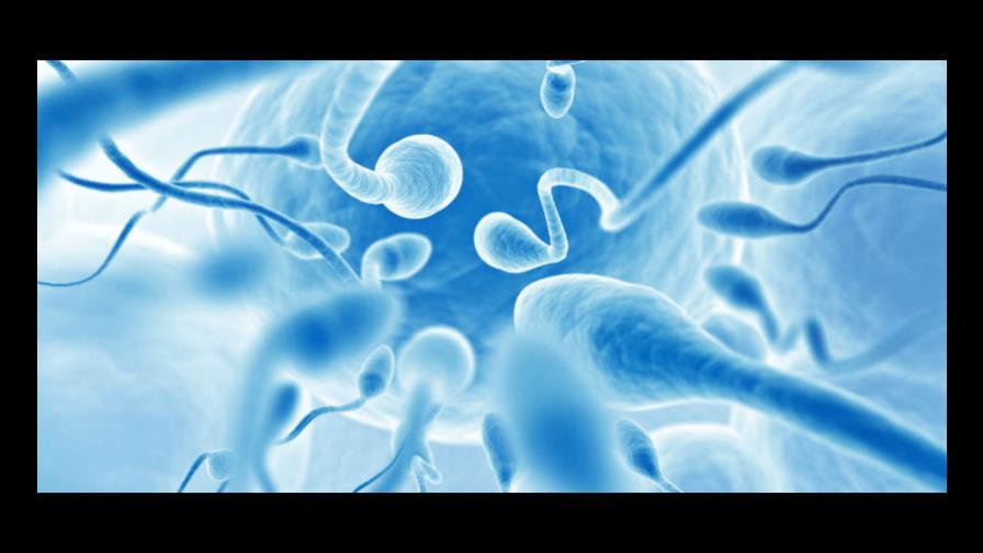 Cómo la contaminación puede afectar al hombre y... la pareja