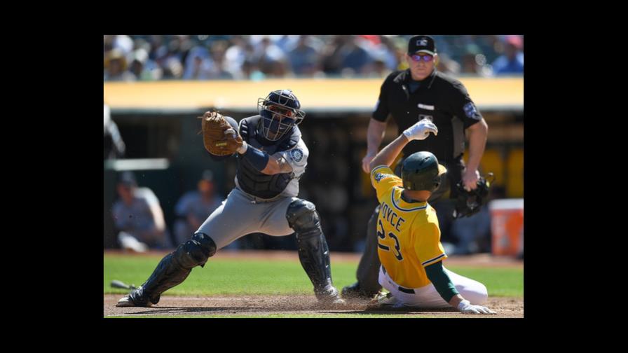 Mike Marjana, receptor de los Tigres del Licey en lugar del boricua Roberto Pérez Mike Marjana, receptor de los Tigres del Licey en lugar del boricua Roberto Pérez