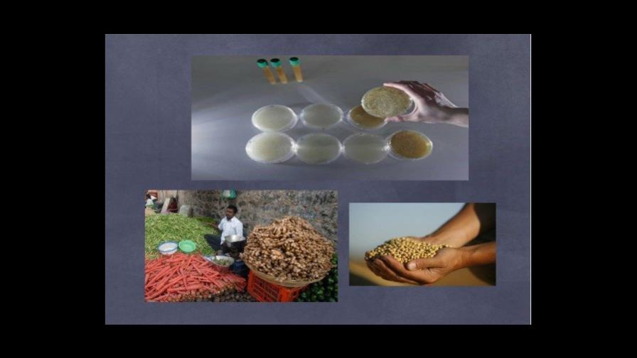 El kéfir: un nuevo producto con amplio beneficio para la salud El kéfir: un nuevo producto con amplio beneficio para la salud