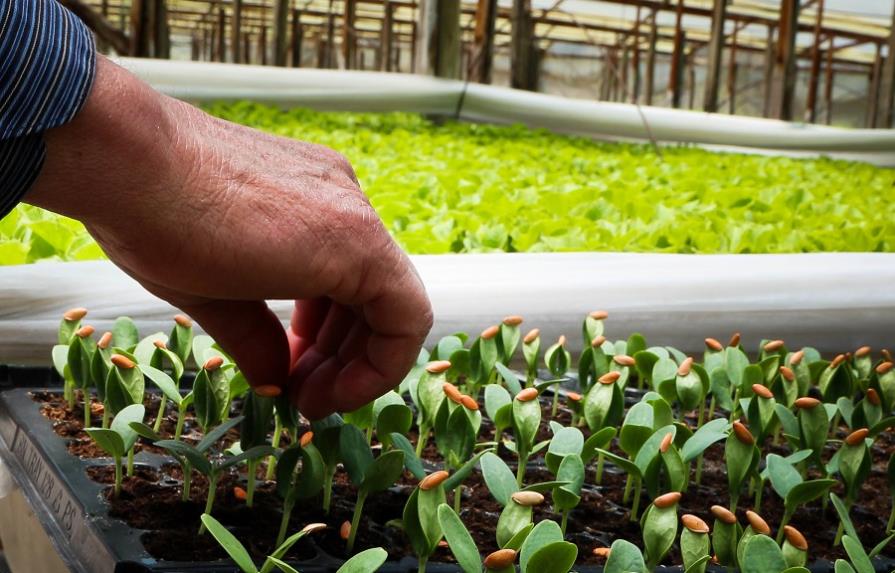 Agroecología toma fuerza en Latinoamérica y el Caribe