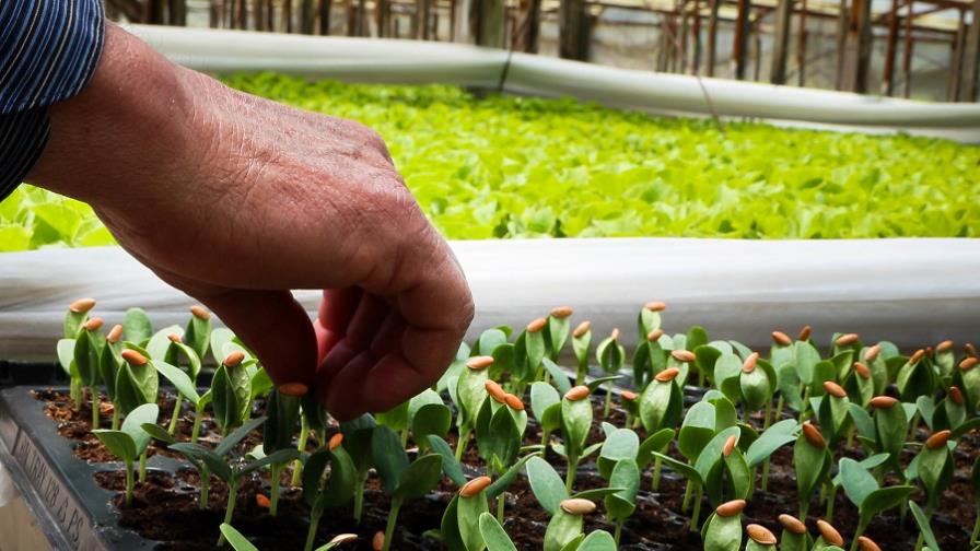 Agroecología toma fuerza en Latinoamérica y el Caribe
