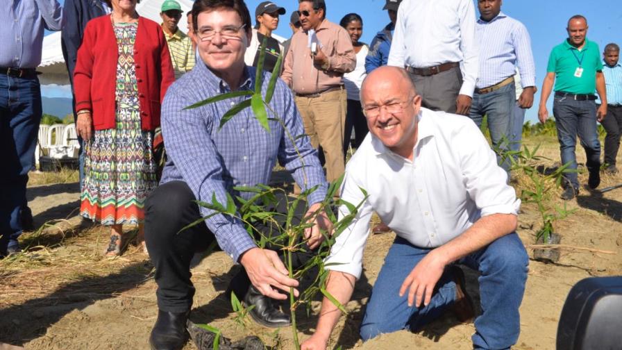 Medio Ambiente y Fundación Rica reforestan zona