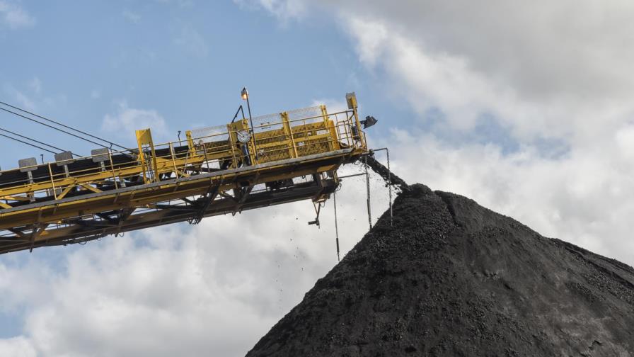 FAO: reservas de carbono en suelos son clave en combate al cambio climático 