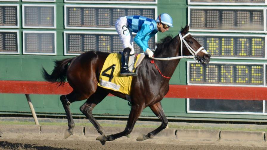 El Inmenso, en el carril 
10 en el Clásico del Caribe