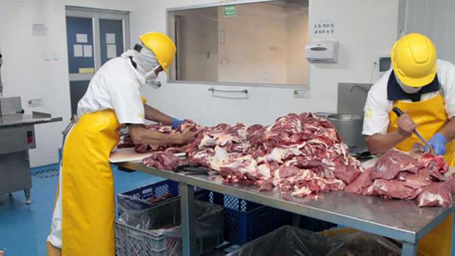 Poder Ejecutivo somete proyecto de ley que  facilitaría creación de empresas