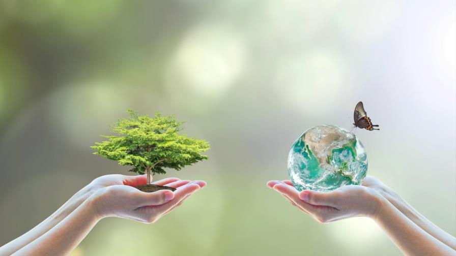 Científicos de todo el mundo evaluarán en Medellín estado de la biodiversidad 