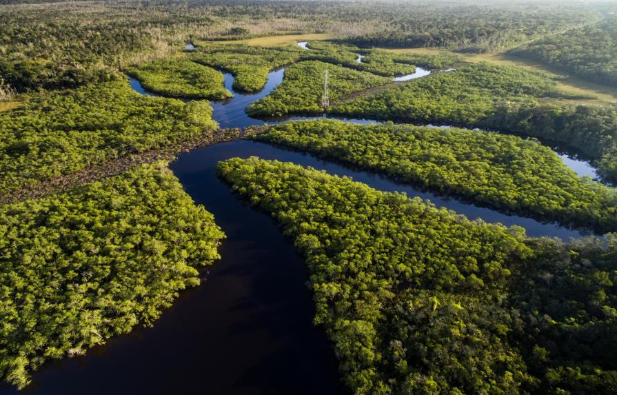 Alemania y Noruega aportan 82 millones para preservar la Amazonía brasileña 