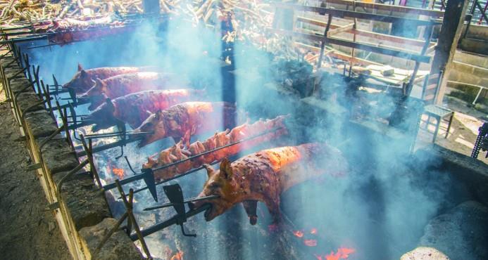 Cerdos en puya, tradición que mantiene gran demanda en Santiago 
