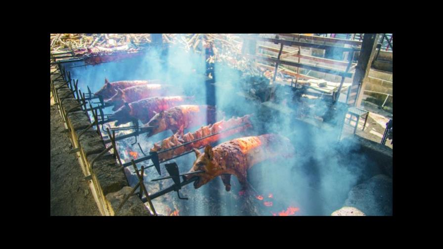 Cerdos en puya, tradición que mantiene gran demanda en Santiago 