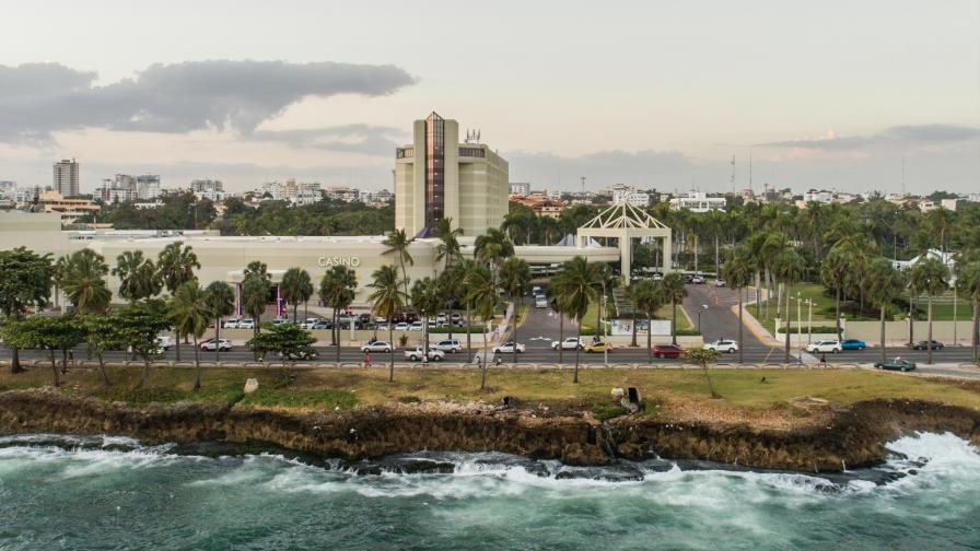 Por qué no se deben podar las palmas del malecón
