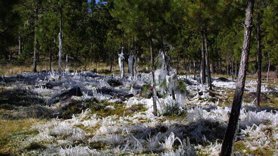 Temperaturas más frías se sentirán a partir del 4 enero Temperaturas más frías se sentirán a partir del 4 enero