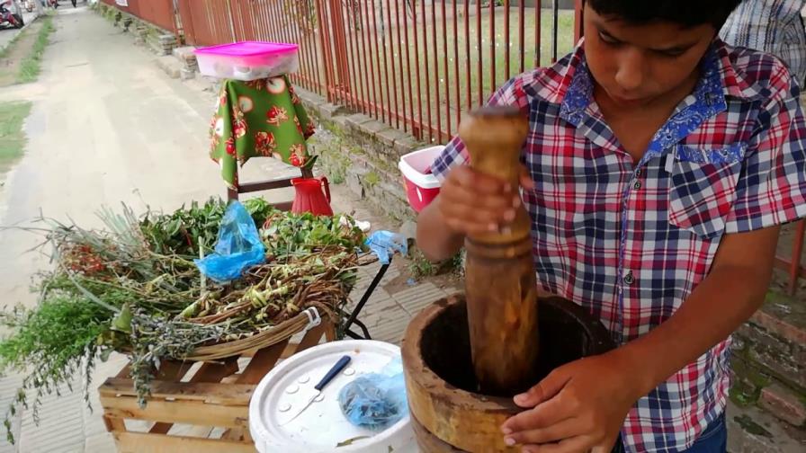 Hierbas medicinales, el remedio paraguayo contra los excesos de las fiestas Hierbas medicinales, el remedio paraguayo contra los excesos de las fiestas