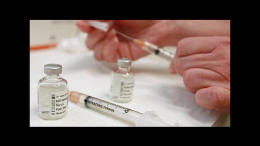 Organización Mundial de la Salud  aprueba primera vacuna conjugada contra fiebre tifoidea apta para bebés 