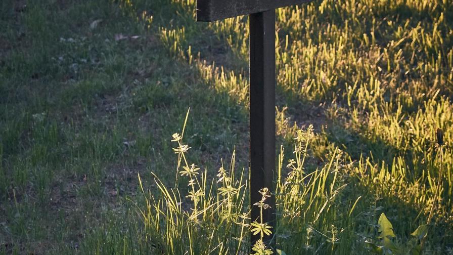 Entierran cadáver de hijo de once meses y luego se acusan mutuamente