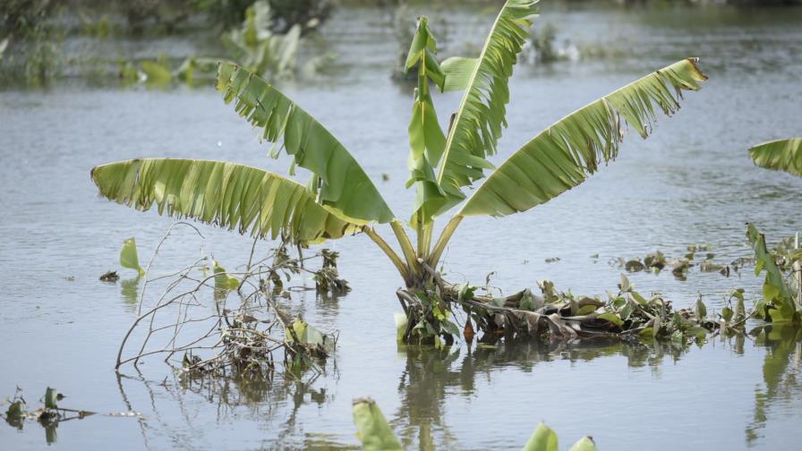 Las lluvias y los huracanes le costaron 1.45% del PIB al país