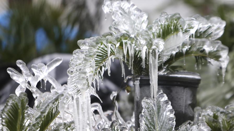 Dominicanos resisten ante tormenta de nieve en EEUU
