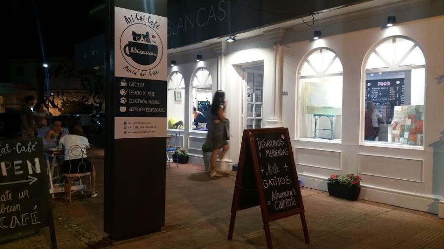 Un café muy acogedor 