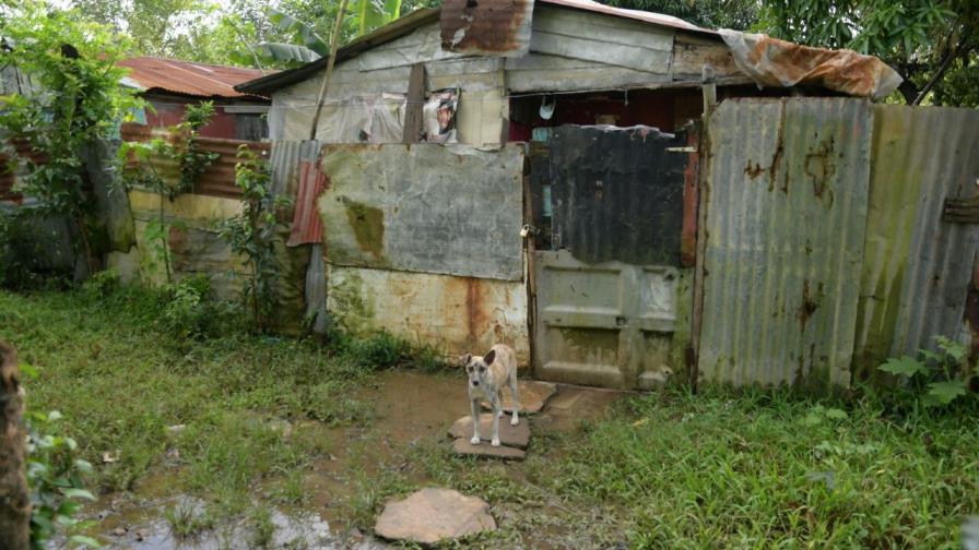 Nieto mató su abuela, ocultó el cuerpo debajo de la cama y huyó Nieto mató su abuela, ocultó el cuerpo debajo de la cama y huyó