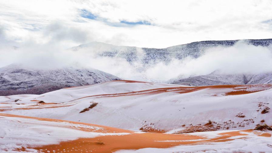 Reportan nevada en el desierto de Sahara